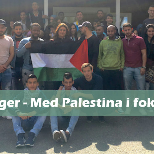 Sommarläger – Med Palestina i fokus