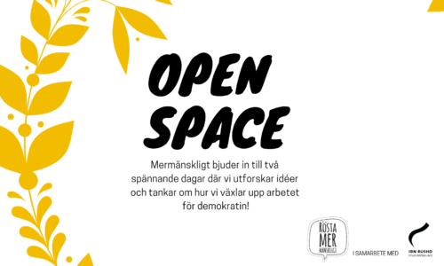Nytt demokratisamarbete med Rösta Mermänskligt